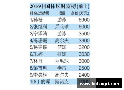 体育明星高收入现象分析及其社会影响探讨